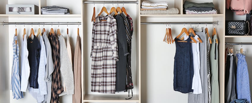 Closet organizer in Greenwood apartment